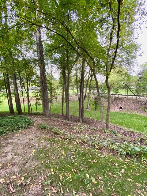 711 Highcrest Rd, Dixon, IL 61021 photo 30