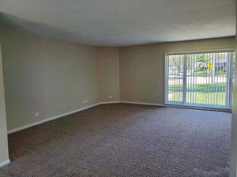 300 Westview St, Hoffman Estates, IL 60169 photo 10