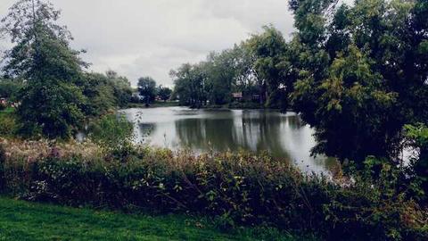 1240 W Dexter Ln, Hoffman Estates, IL 60169 photo 30