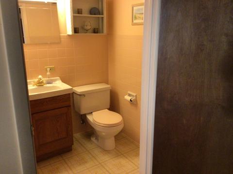 183 E Hale St, Elmhurst, IL 60126 photo 13