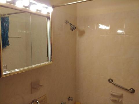 956 Pebble Dr, Wheeling, IL 60090 photo 9