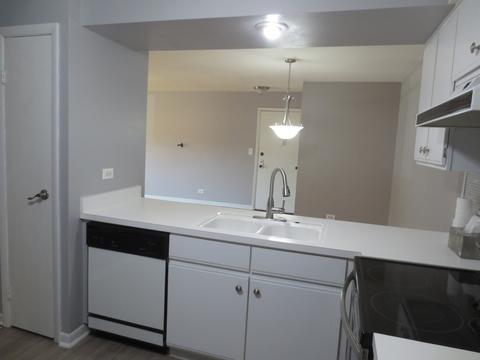 4608 Euclid Ave #2D, Rolling Meadows, IL 60008 photo 7