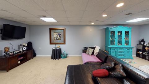 925 W Lark St, Peotone, IL 60468 photo 32