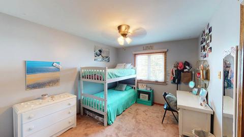 925 W Lark St, Peotone, IL 60468 photo 16