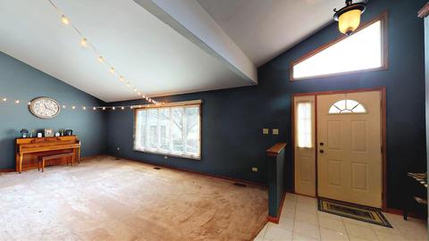 925 W Lark St, Peotone, IL 60468 photo 2