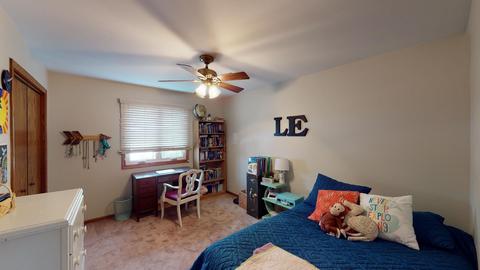 925 W Lark St, Peotone, IL 60468 photo 25