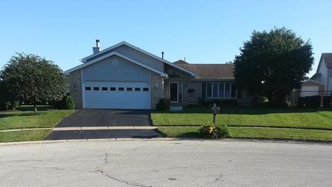 925 W Lark St, Peotone, IL 60468 photo 1