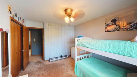 925 W Lark St, Peotone, IL 60468 photo 17