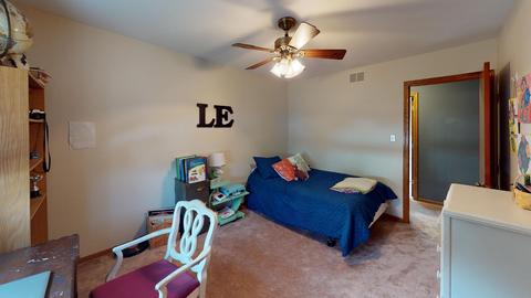 925 W Lark St, Peotone, IL 60468 photo 24