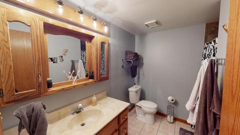 925 W Lark St, Peotone, IL 60468 photo 18