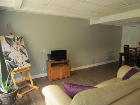 1435 Snow Drift Cir, Bartlett, IL 60103 photo 34
