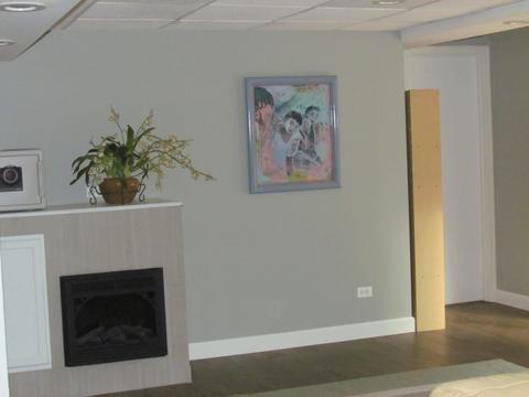 1435 Snow Drift Cir, Bartlett, IL 60103 photo 33