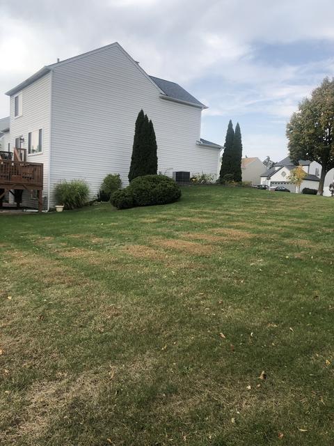 1435 Snow Drift Cir, Bartlett, IL 60103 photo 40