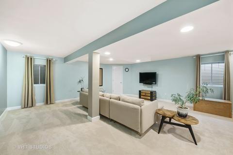 12947 Cathy Ln, Plainfield, IL 60585 photo 44