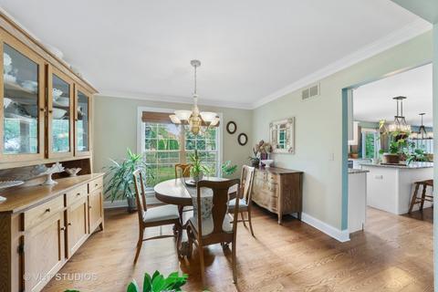 12947 Cathy Ln, Plainfield, IL 60585 photo 13