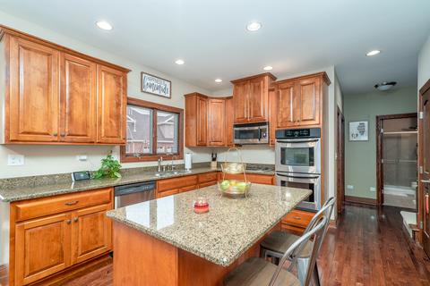 25329 S Tuscany Dr E, Monee, IL 60449 photo 2