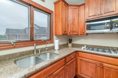 25329 S Tuscany Dr E, Monee, IL 60449 photo 6