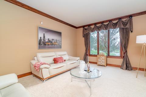 25329 S Tuscany Dr E, Monee, IL 60449 photo 9