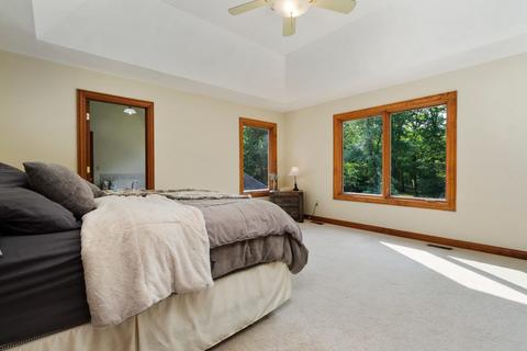 12366 Mitchell Dr, Plano, IL 60545 photo 21