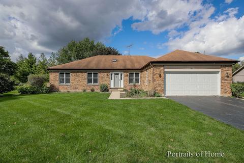 746 Braintree Ln, Bartlett, IL 60103 photo 1