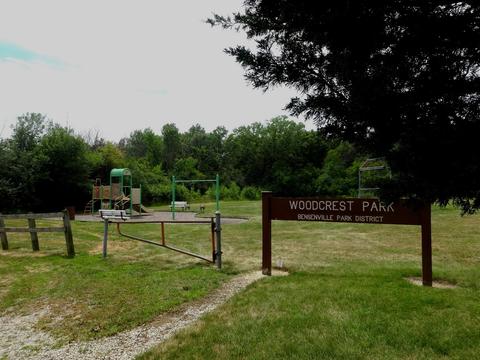 850 Red Oak Ave, Addison, IL 60101 photo 49