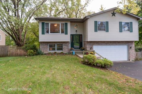 3207 Still Hill Dr, Mchenry, IL 60050 photo 1