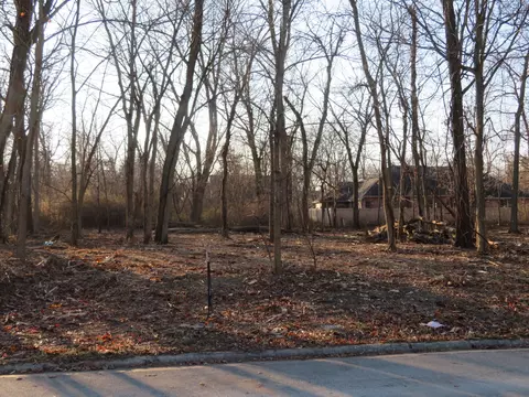 Lot 57 Timber Edge Drive, Morris, IL 60450
