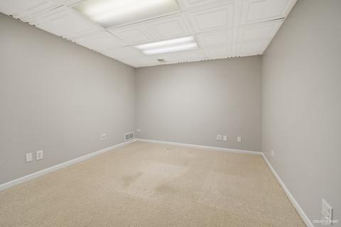 2 S702 White Birch Ln, Wheaton, IL 60189 photo 29