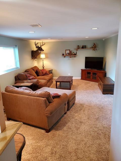 1210 Rose Ct, Bartlett, IL 60103 photo 18