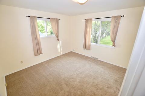 3709 Buchanan Rd, Johnsburg, IL 60051 photo 10