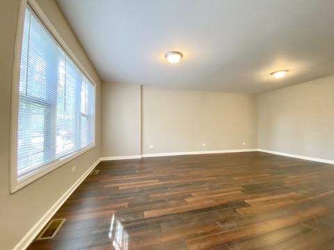 732 E 90th St, Chicago, IL 60619 photo 3