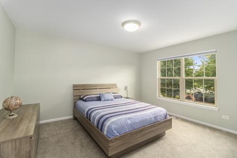 26815 Ashgate Xing, Plainfield, IL 60585 photo 22