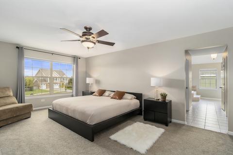 26815 Ashgate Xing, Plainfield, IL 60585 photo 15