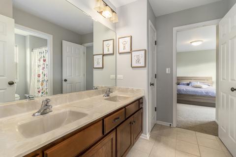 26815 Ashgate Xing, Plainfield, IL 60585 photo 21