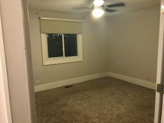 1206 S Appletree Ln, Bartlett, IL 60103 photo 19