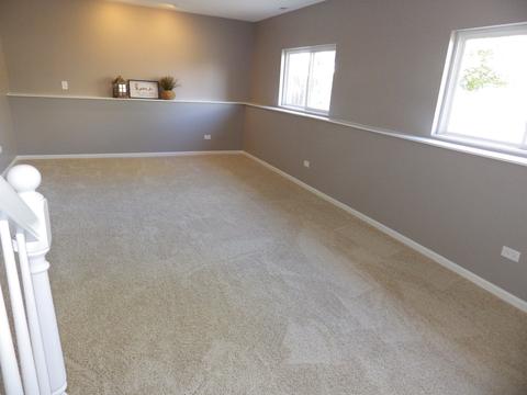 7435 Fordham Ln, Plainfield, IL 60586 photo 12