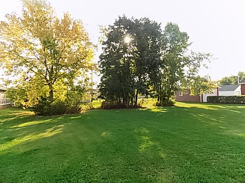 308 22nd Ave, Naplate, IL 61350 photo 25