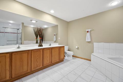 18 E Walnut St, Roselle, IL 60172 photo 12