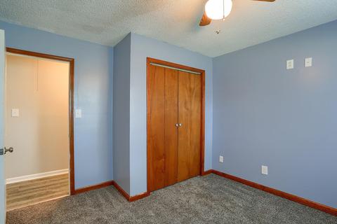 208 3rd St, Dewey, IL 61840 photo 27