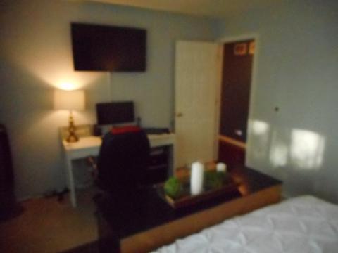 550 Hampton Ln, Roselle, IL 60172 photo 10
