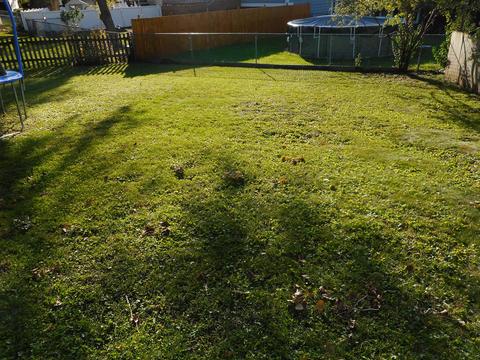550 Hampton Ln, Roselle, IL 60172 photo 17