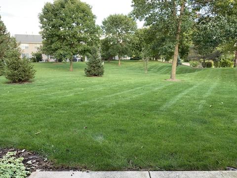 283 Partridge Ct, Algonquin, IL 60102 photo 16