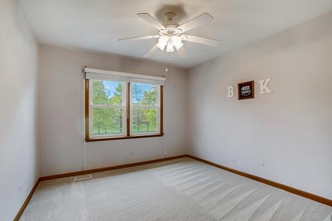 420 Greens View Dr, Algonquin, IL 60102 photo 24