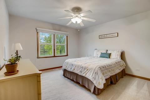 420 Greens View Dr, Algonquin, IL 60102 photo 22