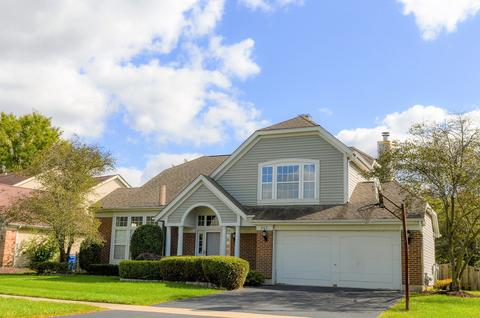 253 Village Ln, Bartlett, IL 60103 photo 1