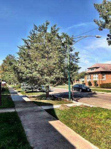 453 E 89th St, Chicago, IL 60619 photo 2