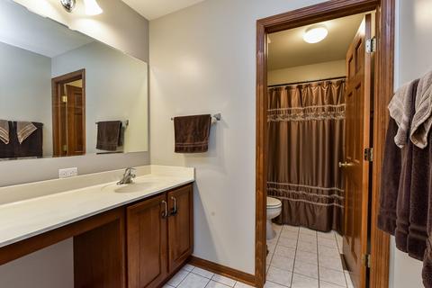 202 Brompton Ct, Oswego, IL 60543 photo 16