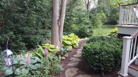 1 S640 Winfield Rd, Wheaton, IL 60189 photo 43