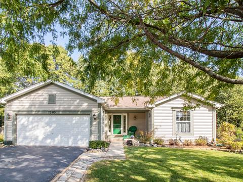 7203 Courtwright Ct, Plainfield, IL 60586 photo 21