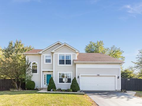 7201 Courtwright Ct, Plainfield, IL 60586 photo 23
